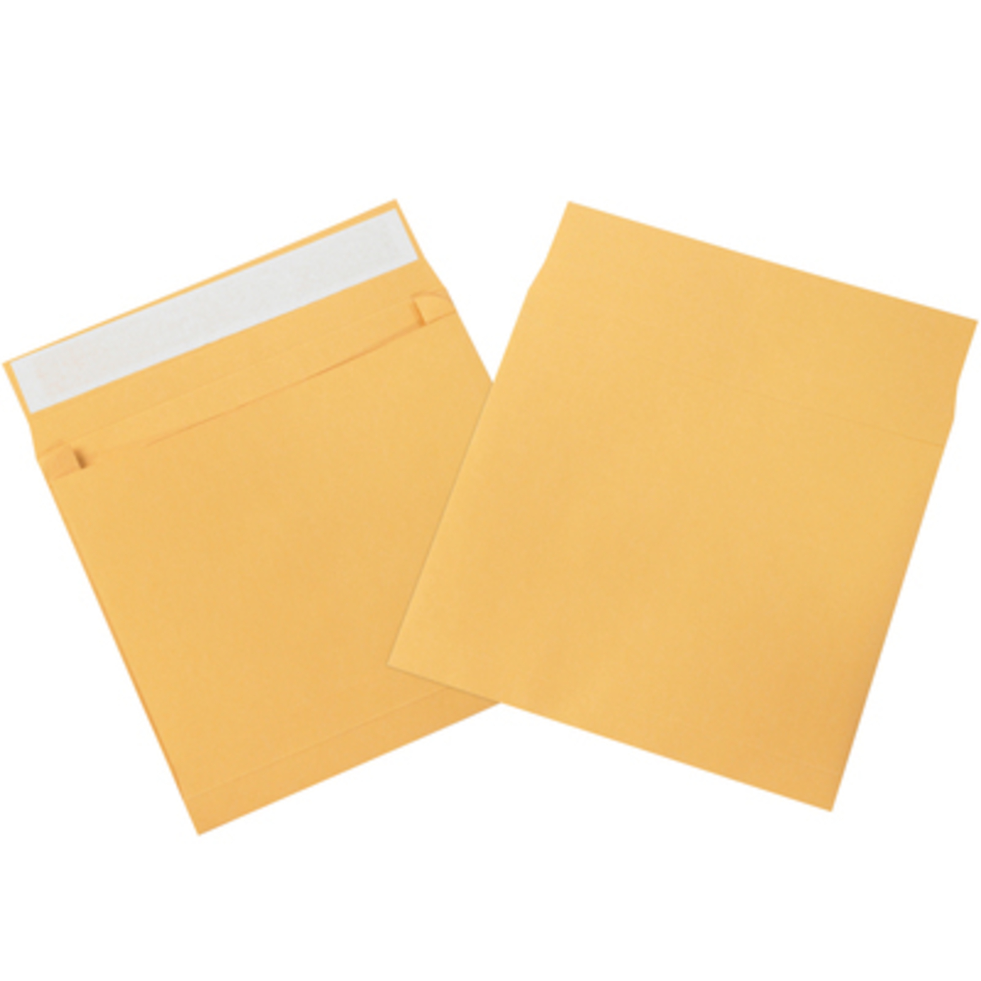 Stock Packaging Expandable Envelopes — 10in. x 13in. x 2in., 100 Pcs, Model# EN1076